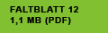 FALTBLATT 12
1,1 MB (PDF)